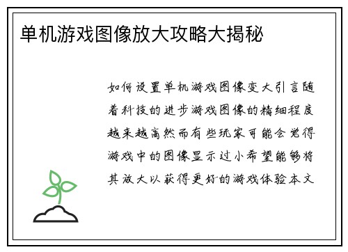 单机游戏图像放大攻略大揭秘